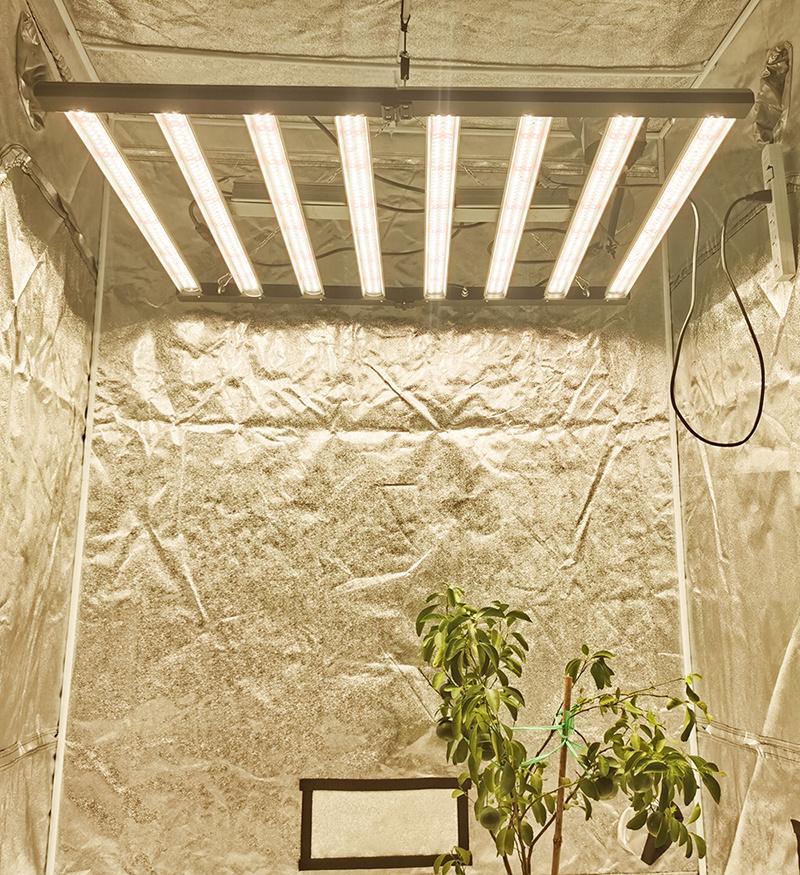 LED Plant Light for Indoor Garden Greenhouse LED Growing Light 600W 800W