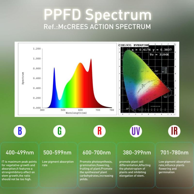 2021 New Arrival LED Full Spectrum 1000W 1200W Grow Light for Indoor Plants