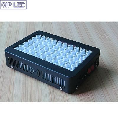 Export Garden Bloom Full Spectrum 300W Hydro LED Grow Lights