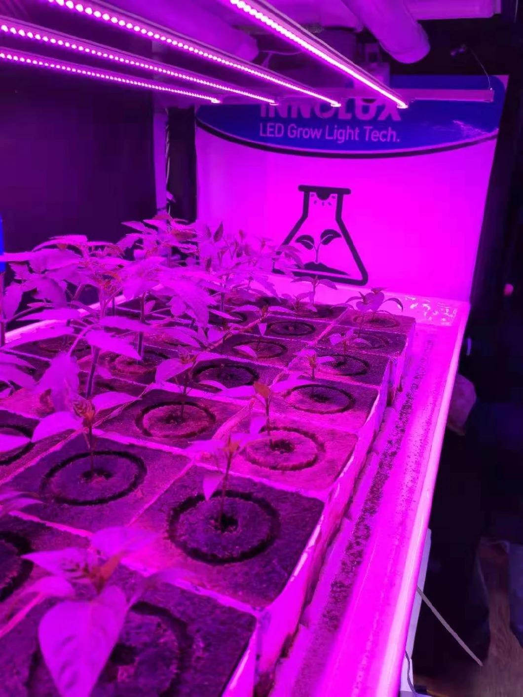 48W Indoor Farm Greenhouse Full Spectrum Light Bar Hydroponics LED Grow Light with RoHS
