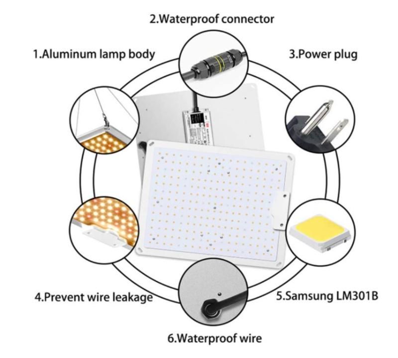 Quantum 100W LED Grow Light with High Ppfd Value