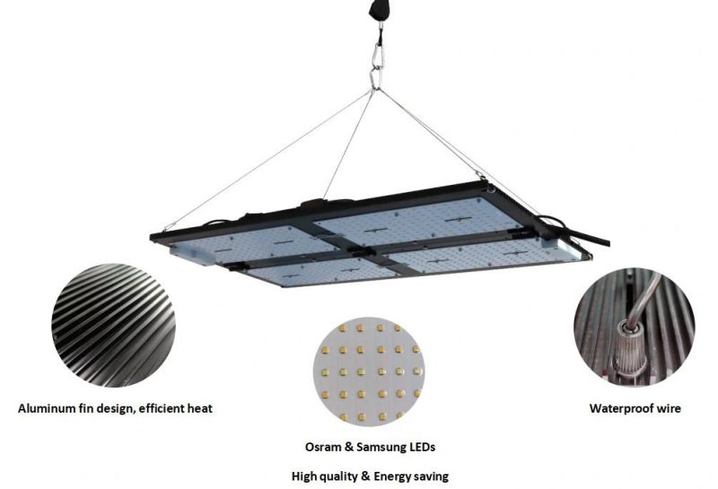 240W Full Spectrum Samsung 301b Green Flower House Grow Light LED Garden Light