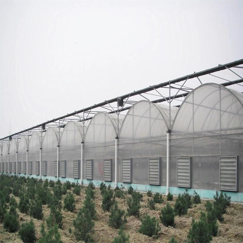 Waterproof LED Grow Light/Lighting System for Agriculture Greenhouse Growing Salad