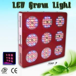 Greensun Hot Sale Znet9 Full Spectrum LED Grow Light with 2 Detachable Plugs