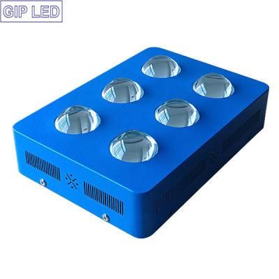 Cheap LED Grow Lights with 504W 756W 1000W