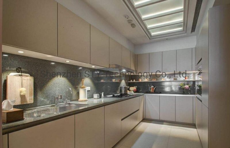 High Power Recessed Installation LED Furniture Light for Kitchen/Cabinet/Wardrobe/Showcase