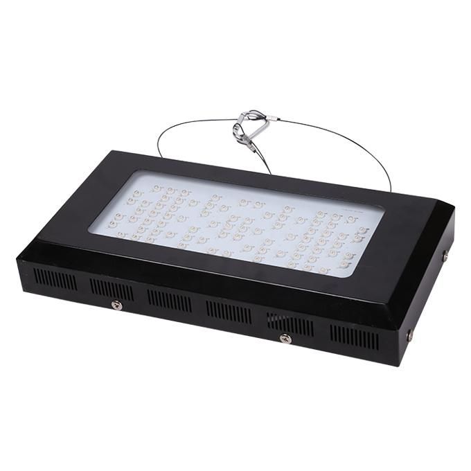 IP44 3W Epistar LED 240W LED Plant Light (SLPT02-240W)