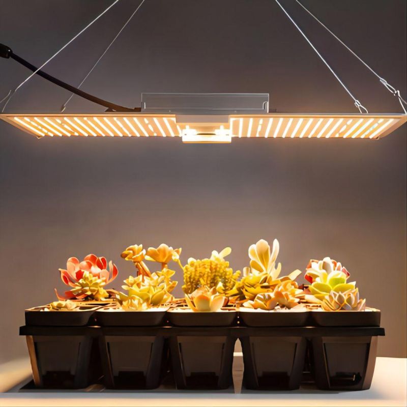 High Pure Aluminum 200W LED Grow Lighting with UL Certifition in The Greenhourse