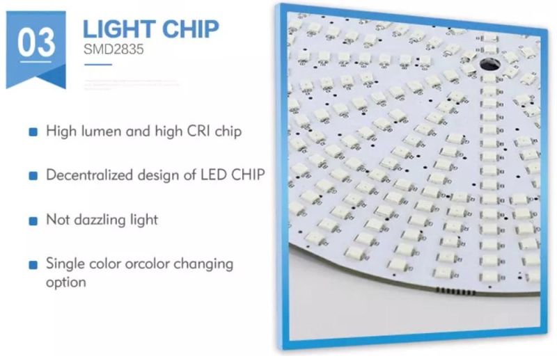 Swimming Pool Light 12W Wall-Mounted 12V AC IP68 Waterproof LED Underwater Pool Light RGB LED Swimming Pool Lighting Stainless Steel