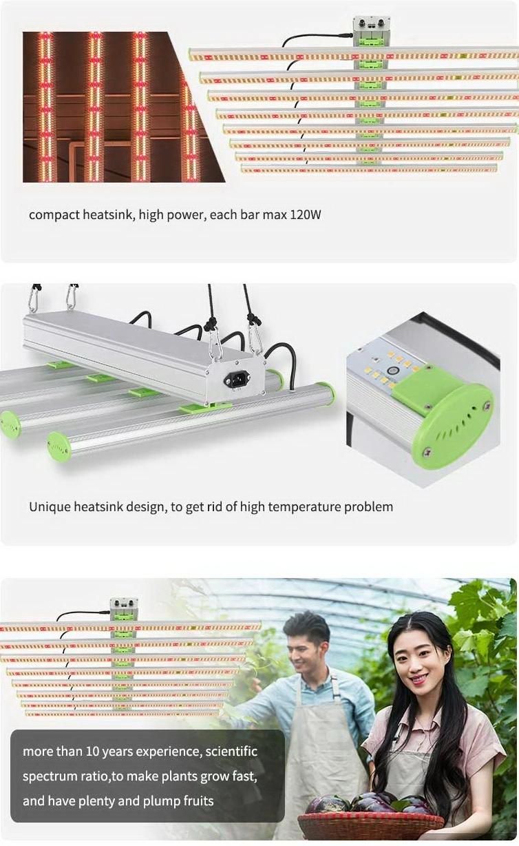 Rygh-Bz600 6 Bars Commercial LED Plant Grow Lights Dimmable 2021 Best 600W