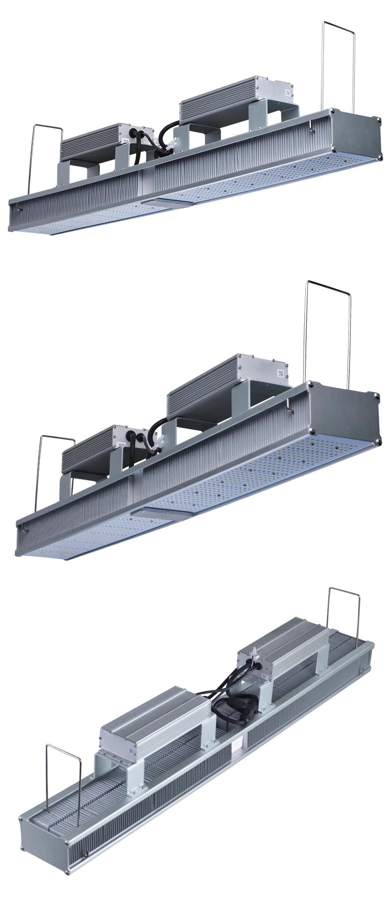 600 Watt Commercial Full Spectrum LED Grow Lights for Greenhouse Plants