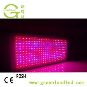 High Power Full Spectrum High Quality 200W Hydroponic LED Grow Light