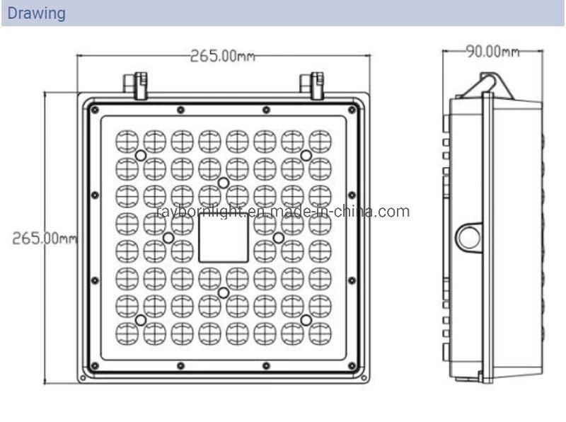 LED Indoor Outdoor Petrol Lighting 60W 80W 100W 120W 150W Ceiling Recessed Surface Industrial Canopy Gas Station Light for Metro Railway Station