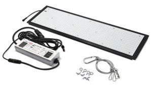 Most Popular 240W Full Spectrum LED Quantum Board with Samsung Lm301b for Grow Tent