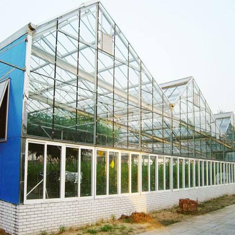 Agriculture LED Grow Lighting System for Vegetable Greenhouse