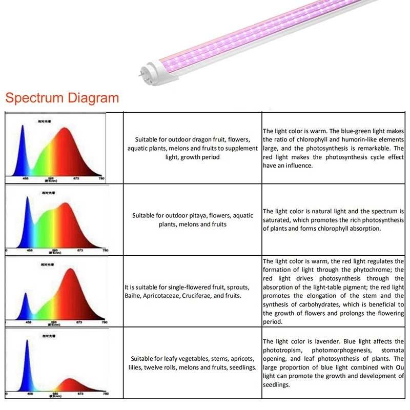 LED Plants Light 1200mm Fleshy Vegetables and Flowers Grow Light in Greenhouse T8 Lamps