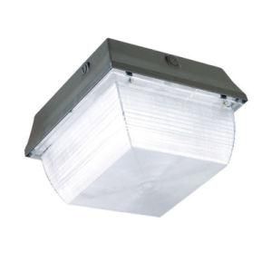 UL ETL Dlc 5 Years Warranty LED Canopy Light 40W 60W 120W CREE Chip LED Gas Light