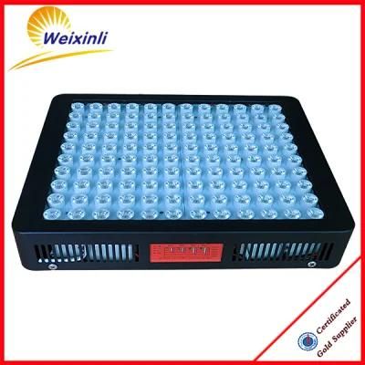 Full Spectrum 600W LED Plant Lamp for Greenhouse Hydroponic Vegetables