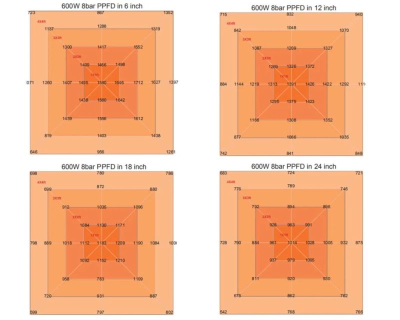 Most Popular LED Full Spectrum Grow Light for Indoor Grow Tent