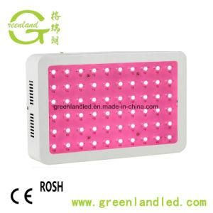 Greenhouses Square High Quality 6*50W 300W LED Plant Grow Light