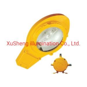 Competitive Price 250W/400W Explosion Proof Street Light for Hazardous Area Applications