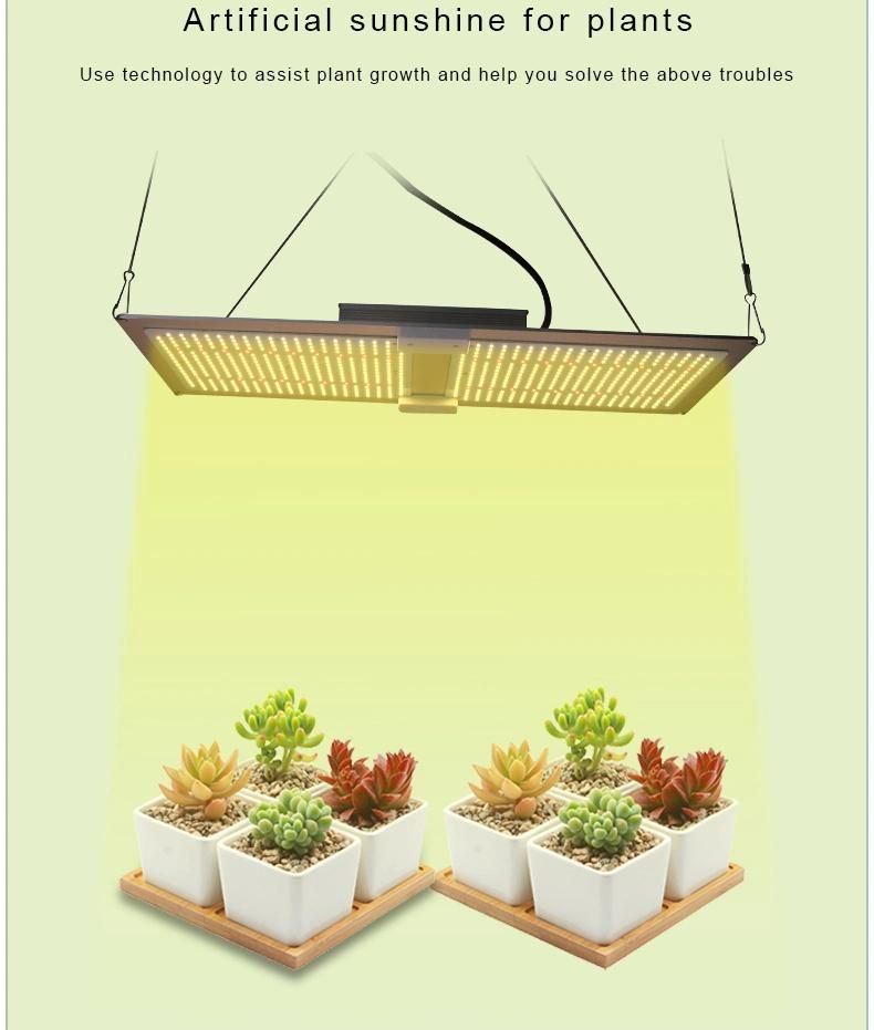 100W 200W 300W 400W 600W Hydroponic Quantum Board Lights Sulight Full Spectrum LED Grow Light