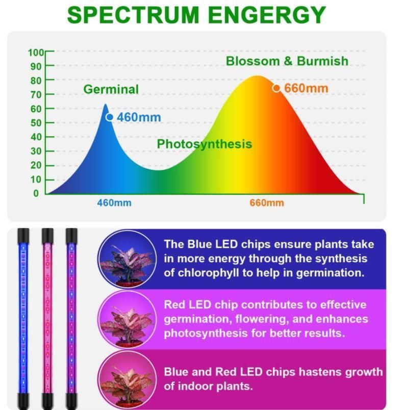 60W Grow Light LED with 4 Head LED Grow Light Adjustable 15-48 in 6 9 12h Timer & with 3 Modes Grow Lights with Stand