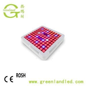 Amazon Ebay High Quality Greenhouse Acutual Power 45W 65W Hydroponic Plant LED Grow Light