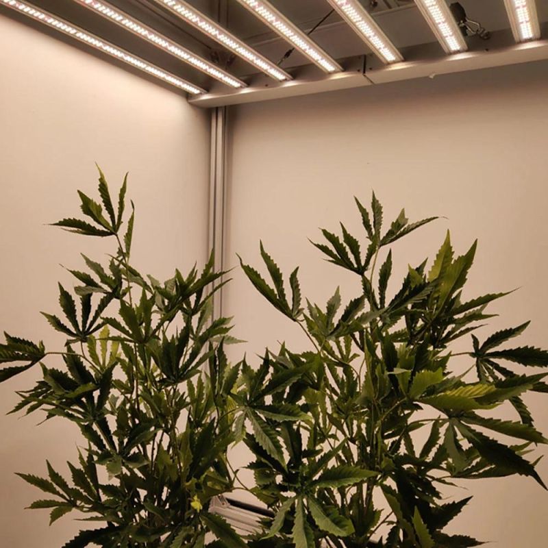 Hot 830W 8 Bars Hydroponics Full Spectrum Fluence Commercial Plant Fixture Light