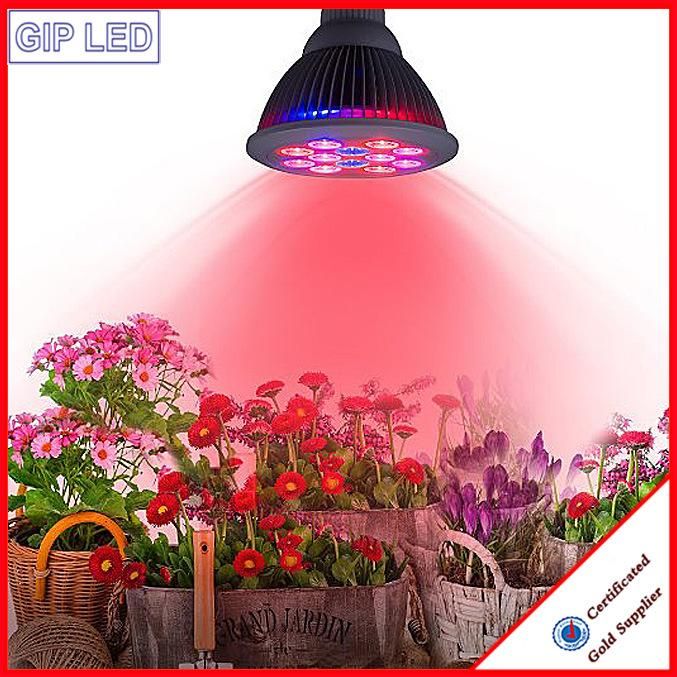 Hot Sale in 2016 E27 12W 24W LED Grow Light for Plant Growing