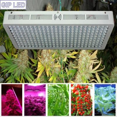 2016 Switchable LED Grow Light for Indoor Growing