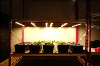 Solar Power 500W LED Grow Light