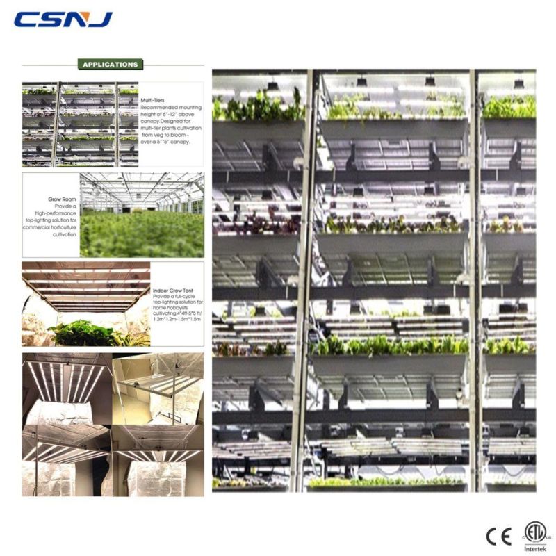 Beautiful Designing High Efficacy Full Spectrum LED Grow Light (G600 630W 2.7umol/J) for Indoors Growing