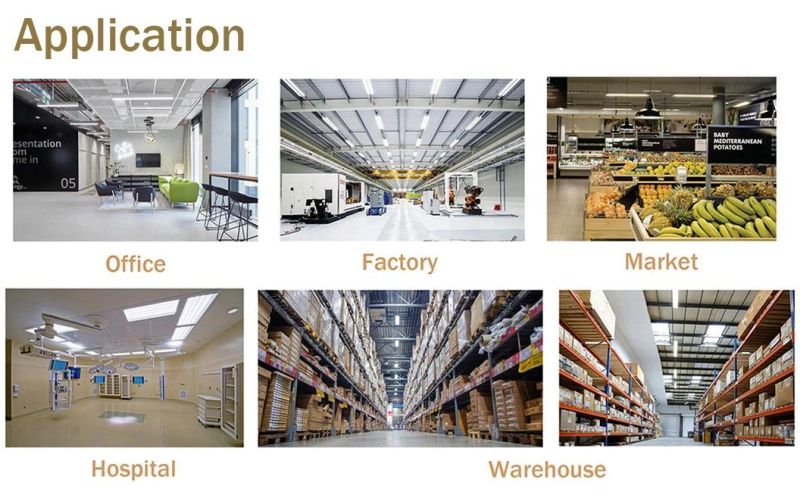 LED Professional Tri-Proof Linear Lighting Fixture