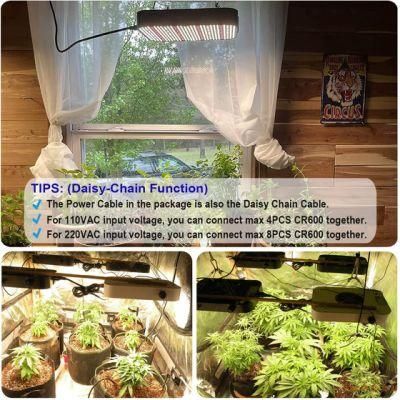 200W Full Spectrum Generation Plant Light for Indoor Greenhouse Hydroponic Plants Veg, Flower, Grow Tent Kit