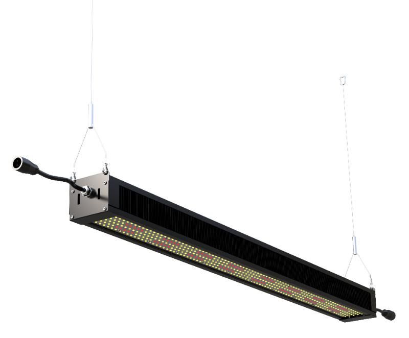 Ilummini High Ppfd 320W CE RoHS LED Grow Light Horticulture