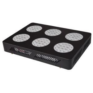 High Power Energy Saving Full Spectrum 300W LED Grow Light