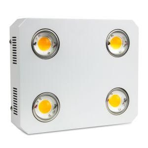 High Lumens 23500lm 600W Ctizen COB Grow Light Suitable for All Stage Plants Growth