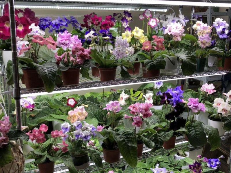 24W Indoor Farming LED Grow Light, Full Spectrum Plant Grow Light with UL, RoHS