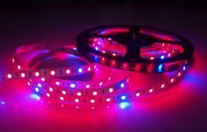 Plant Grow LED Strip Grow Light LED Linear Light Red: 660-665nm Blue: 450-455nm