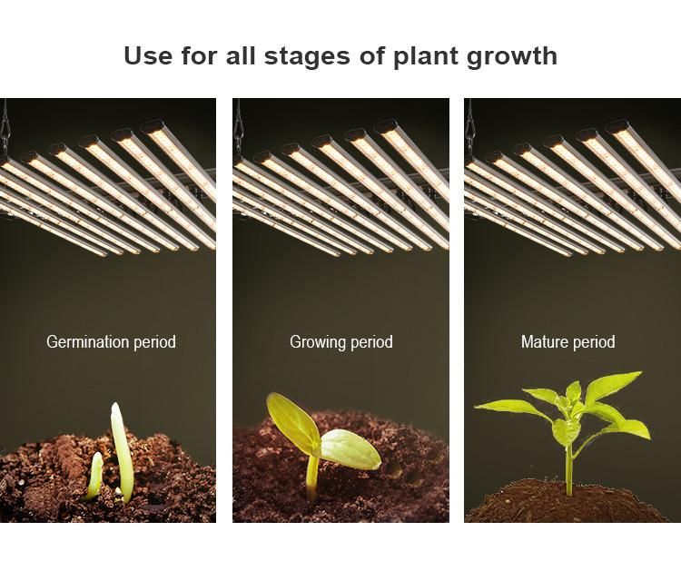 Hepo 500W Full Spectrum LED Grow Lamp for Indoor Plant Growth Light Medical Plant Commercial Lighting System