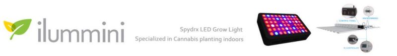 ETL LED Full Spectrum Plant Panel Greenhouse Grow Light