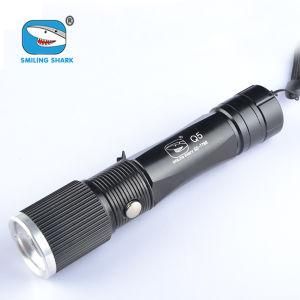 Perfect Disign High Quality LED Rechargeable Flashlight Zoom Torch