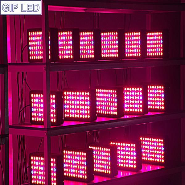 Switchable 600W LED Indoor Growing Light for Greenhouse