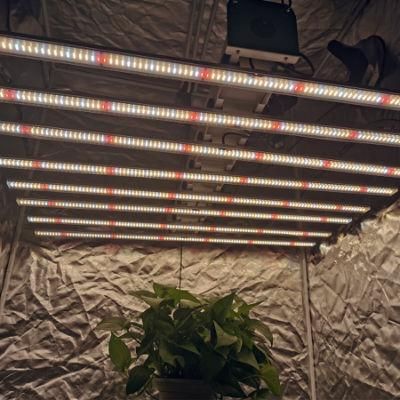 Best Sale OEM Full Spectrum 1000W LED Grow Light for Hydroponics