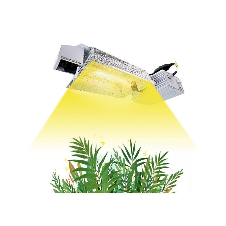 Hot Selling Wholesale 630W 1000W CMH Hydroponic Grow System Indoor Double End HID Plant Grow Light