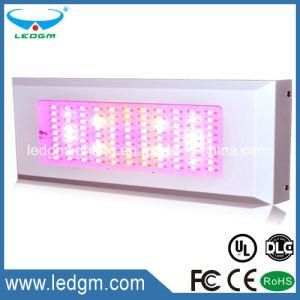 2017 Plant Growth Greenhouse Red Blue 150W Square LED Grow Light