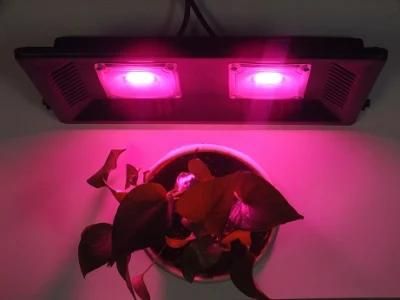 LED Plant Light