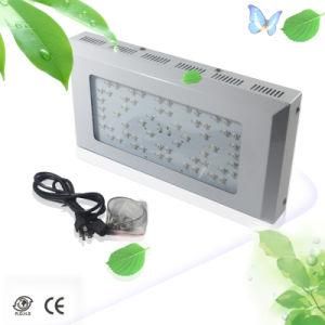 Blackstar 240W LED Grow Light, Full Spectrum for Flowering &amp; Vegetable