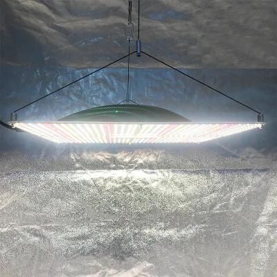 2021 Newest ETL Listed 320W Blue Tooth Control LED Grow Light with Full Spectrum for Plants Greenhouse